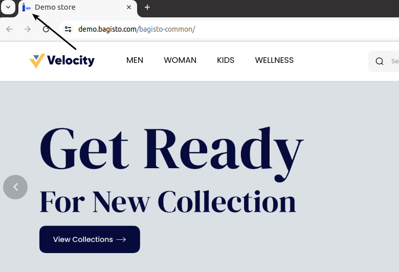 Frontend Favicon Output